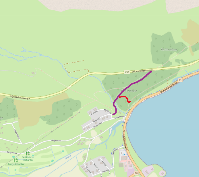 Karlsárstígur og Litli Karlsárstígur